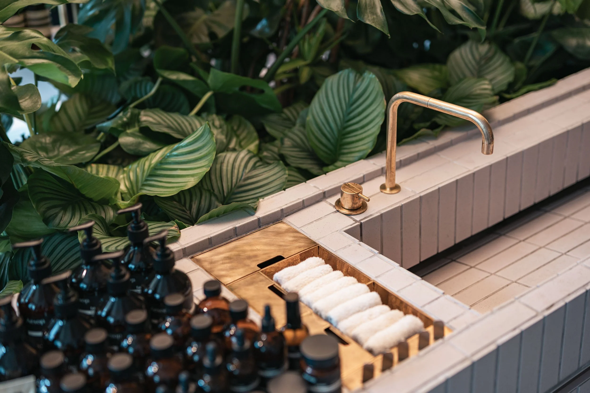Brass faucet with living wall and amber bottles