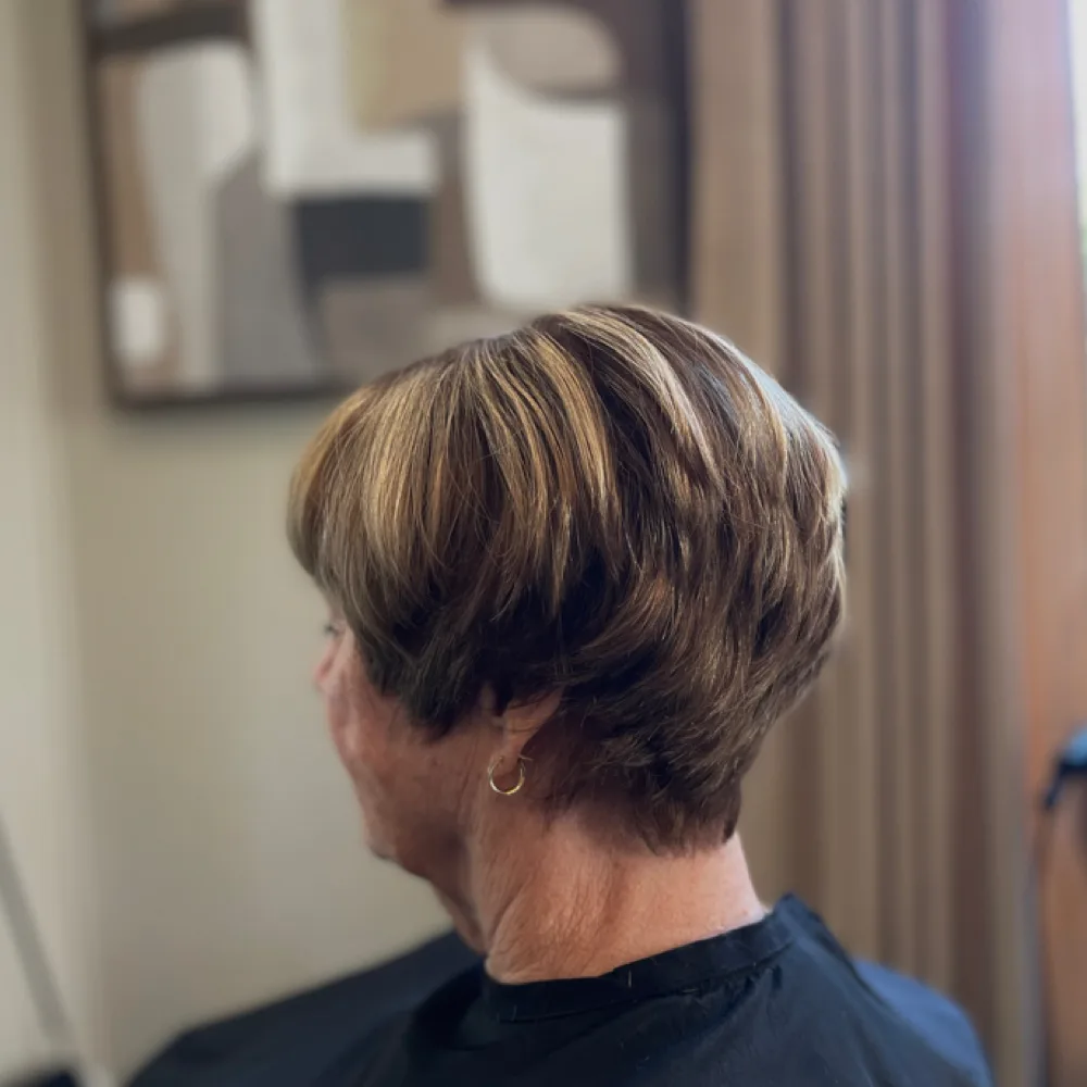Root color and custom highlights with a short cut