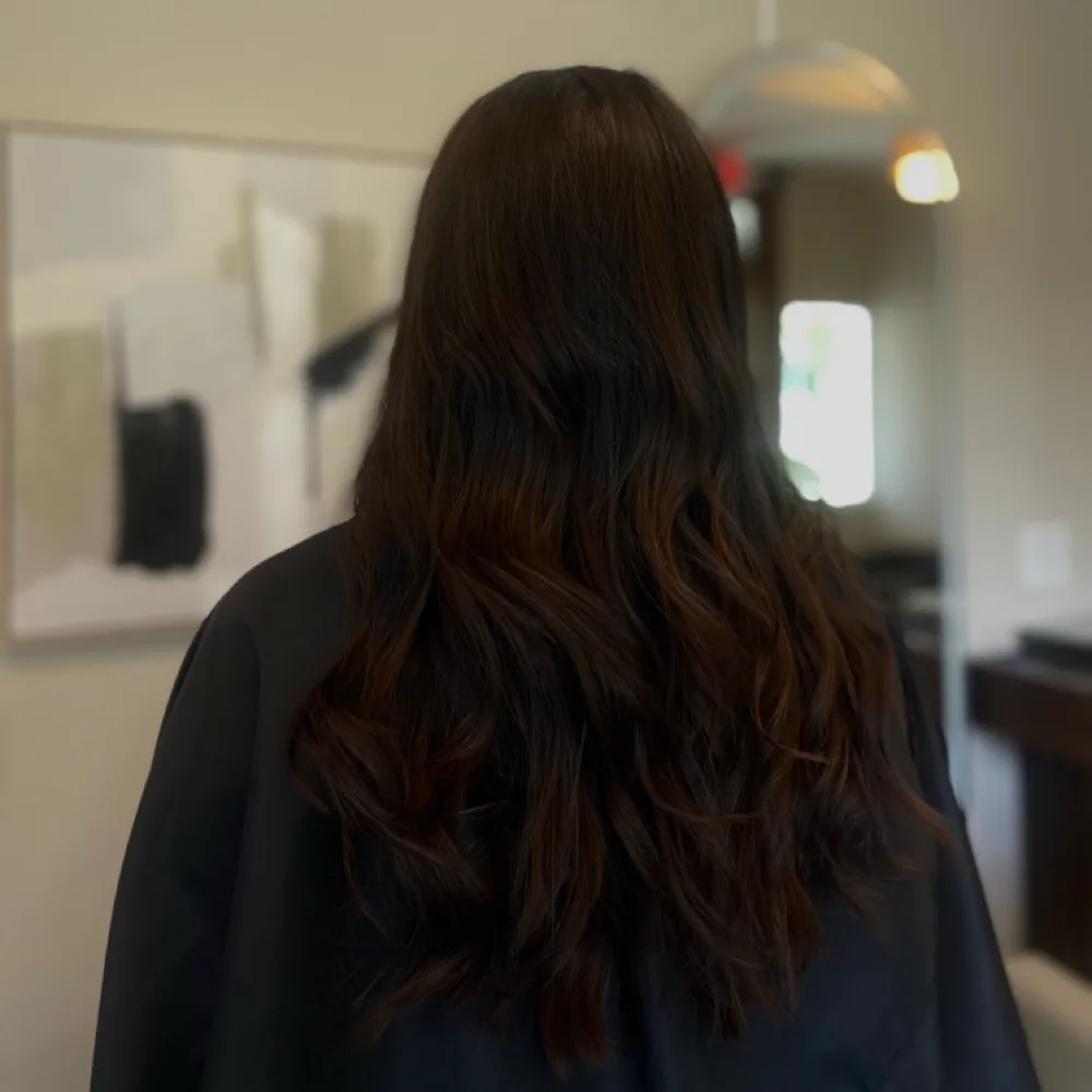 Root color and toner from mid-ends